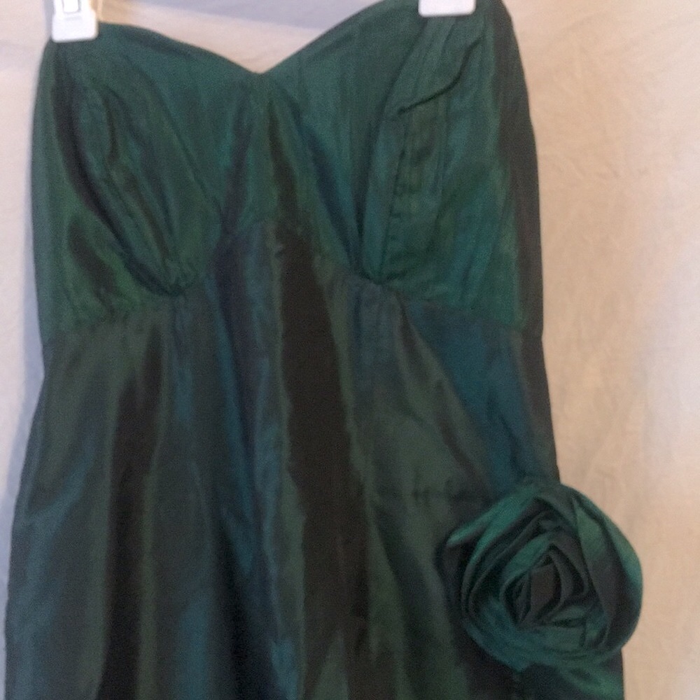 Pippin Prom Dress/wedding